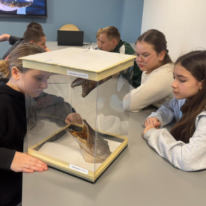 Wizyta w Opolskim Centrum Edukacyjnym - Poznajemy ryby opolszczyzny