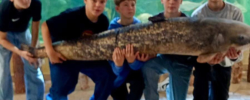 Czwarty dzień zielonej szkoły